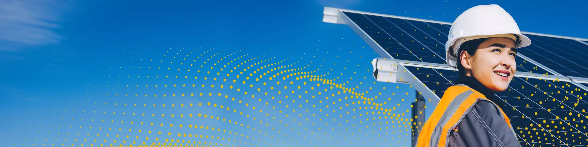 Global gateway Homepage banner - solar pannel